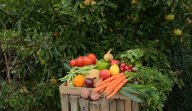 Biologische groente & fruit