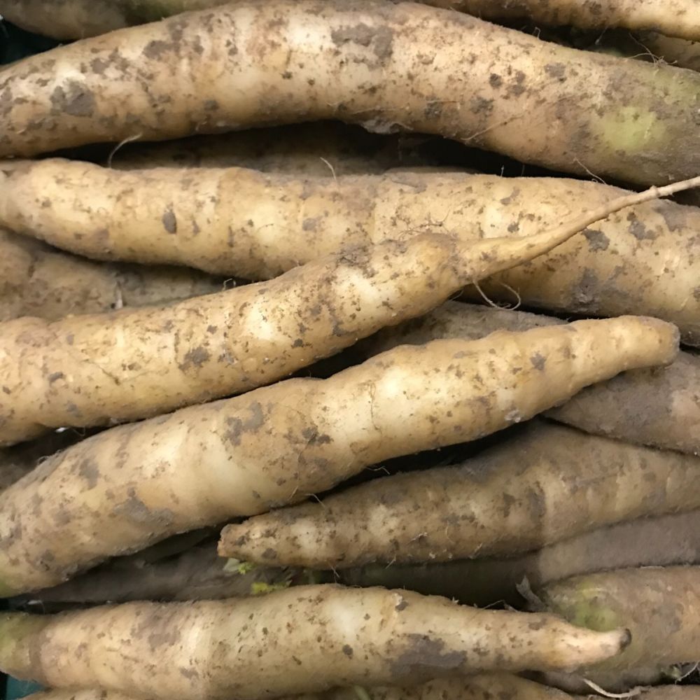 Lelie theorie cel Biologische witte peen kopen | Aardappelenbezorgen.nl